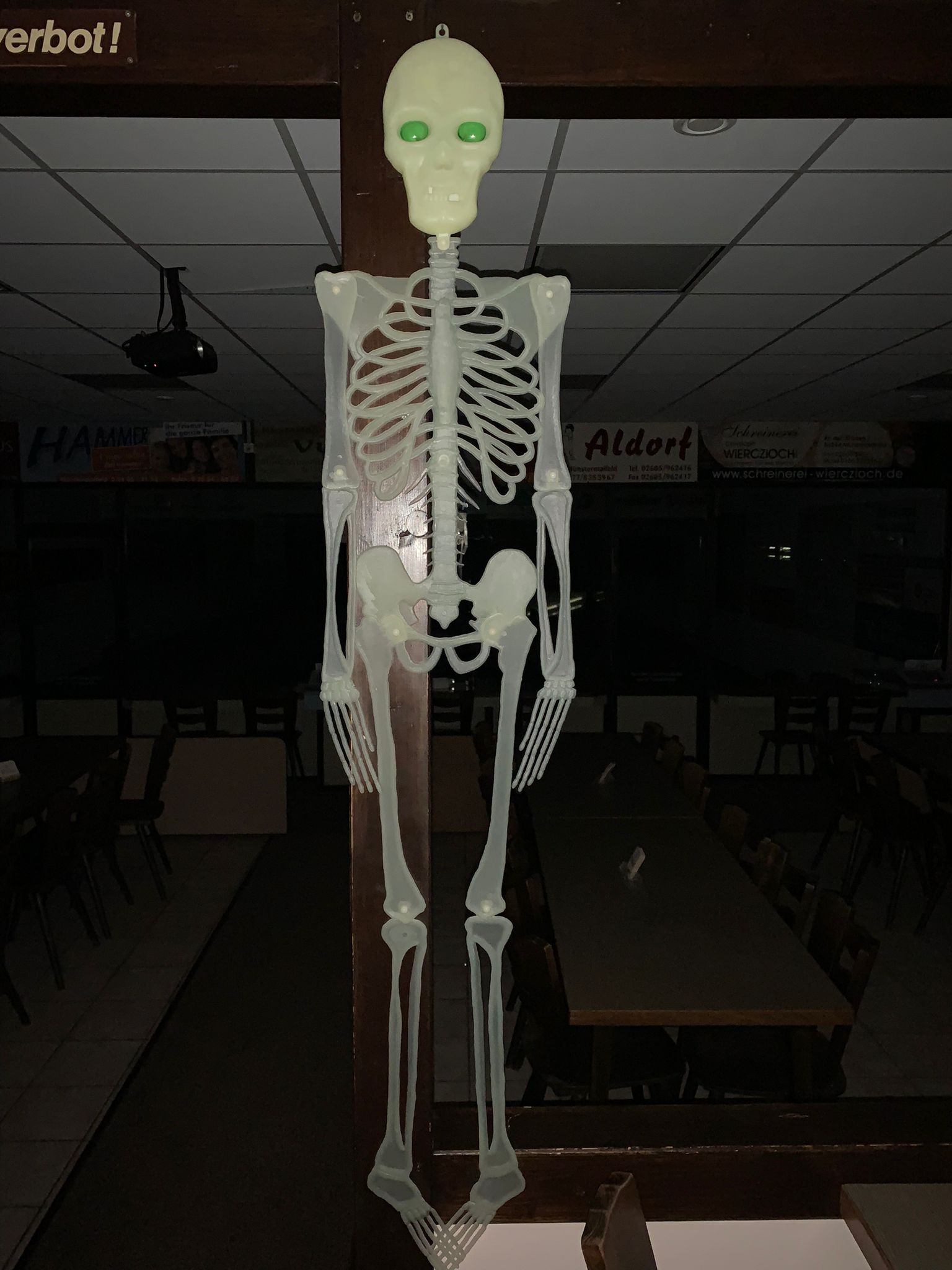 Skelett_1.jpg